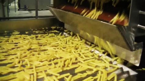how are french fries made in a factory